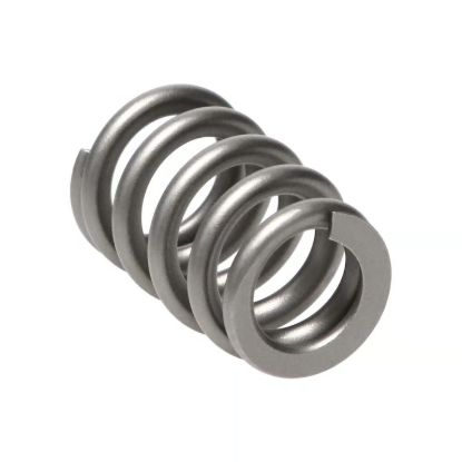 Picture of Manley Engine Valve Spring Kit - 22185-16