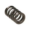 Picture of Manley Engine Valve Spring Kit - 22190-16