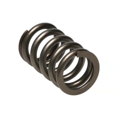 Picture of Manley Engine Valve Spring Kit - 22190-16