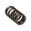 Picture of Manley Engine Valve Spring - 22195-1