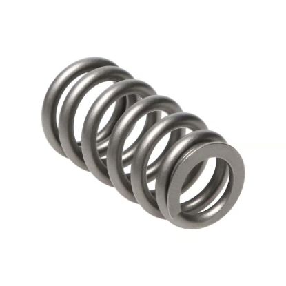 Picture of Manley Engine Valve Spring Kit - 22200-16