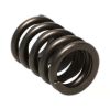 Picture of Manley Engine Valve Spring - 22406-1