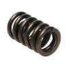 Picture of Manley Engine Valve Spring - 22409-1
