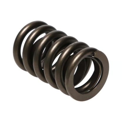 Picture of Manley Engine Valve Spring Kit - 22409-16