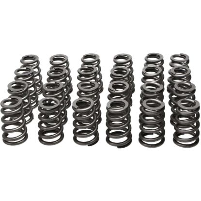 Picture of Manley Engine Valve Spring Kit - 26135