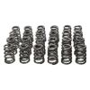 Picture of Manley Engine Valve Spring Kit - 26135K
