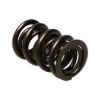 Picture of Manley Engine Valve Spring Kit - 261454