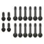 Picture of Manley Engine Cylinder Head Bolt Set - 42170