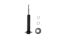 Picture of MaxTrac Suspension Shock Absorber - 221303
