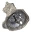Picture of Zumbrota Drivetrain Manual Transmission Assembly - RMTM5R2F-4