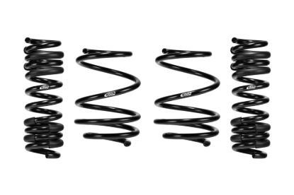 Picture of Eibach Coil Spring Lowering Kit - E10-20-049-12-22