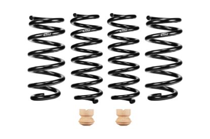 Picture of Eibach Coil Spring Lowering Kit - E10-201-005-01-22