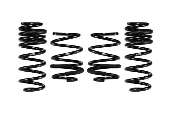 Picture of Eibach Coil Spring Lowering Kit - E10-201-006-02-22