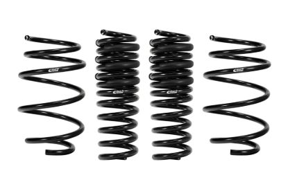 Picture of Eibach Coil Spring Lowering Kit - E10-23-018-03-22