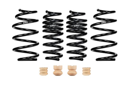 Picture of Eibach Coil Spring Lowering Kit - E10-23-039-01-22