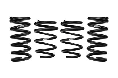 Picture of Eibach Coil Spring Lowering Kit - E10-35-029-10-22