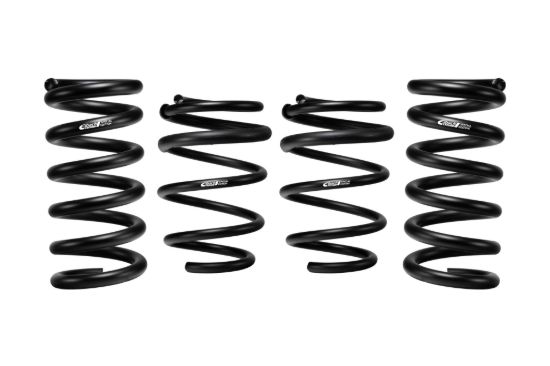 Picture of Eibach Coil Spring Lowering Kit - E10-35-029-10-22