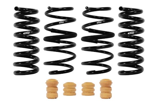 Picture of Eibach Coil Spring Lowering Kit - E10-35-054-03-22