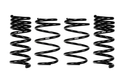 Picture of Eibach Coil Spring Lowering Kit - E10-35-064-02-22
