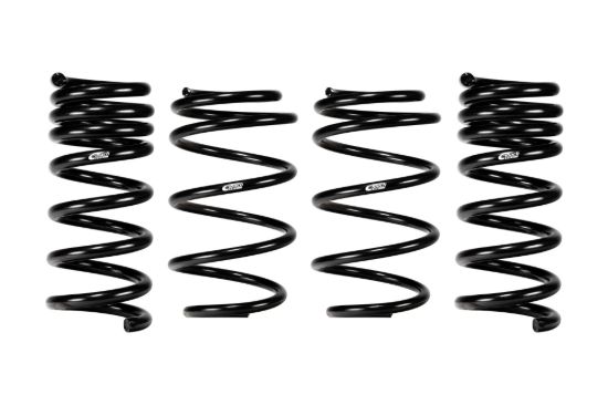 Picture of Eibach Coil Spring Lowering Kit - E10-35-064-02-22