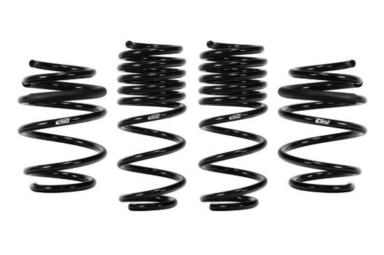 Picture of Eibach Coil Spring Lowering Kit - E10-40-036-03-22