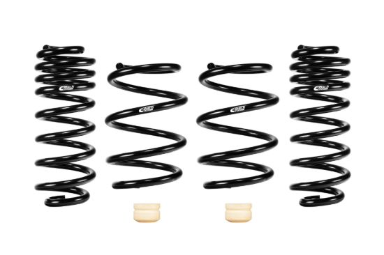 Picture of Eibach Coil Spring Lowering Kit - E10-42-060-01-22