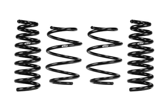 Picture of Eibach Coil Spring Lowering Kit - E10-42-061-02-22