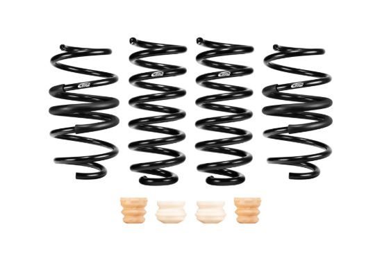 Picture of Eibach Coil Spring Lowering Kit - E10-46-042-01-22
