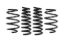 Picture of Eibach Coil Spring Lowering Kit - E10-46-045-02-22