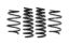 Picture of Eibach Coil Spring Lowering Kit - E10-46-045-03-22