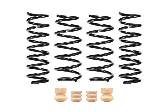Picture of Eibach Coil Spring Lowering Kit - E10-51-025-02-22