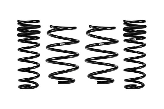 Picture of Eibach Coil Spring Lowering Kit - E10-77-030-01-22