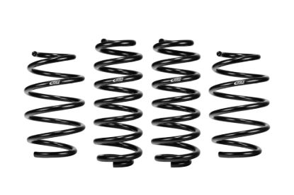 Picture of Eibach Coil Spring Lowering Kit - E10-85-043-07-22