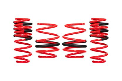 Picture of Eibach Coil Spring Lowering Kit - E20-201-006-02-22