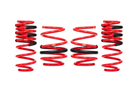 Picture of Eibach Coil Spring Lowering Kit - E20-201-006-02-22