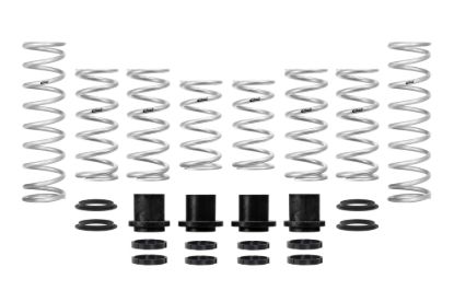 Picture of Eibach Coil Spring Set - E85-209-003-02-22