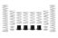 Picture of Eibach Coil Spring Set - E85-209-007-02-22