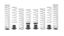 Picture of Eibach Coil Spring Set - E85-214-002-03-22