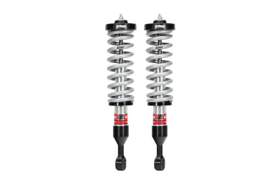 Picture of Eibach Coilover Spring and Shock Assembly - E86-82-073-01-20