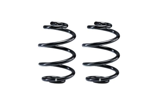 Picture of Eibach Coil Spring - R10534
