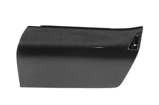 Picture of Seibon Carbon Door - DD0910NS370
