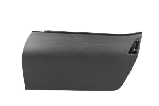 Picture of Seibon Carbon Door - DD0910NS370-DRY