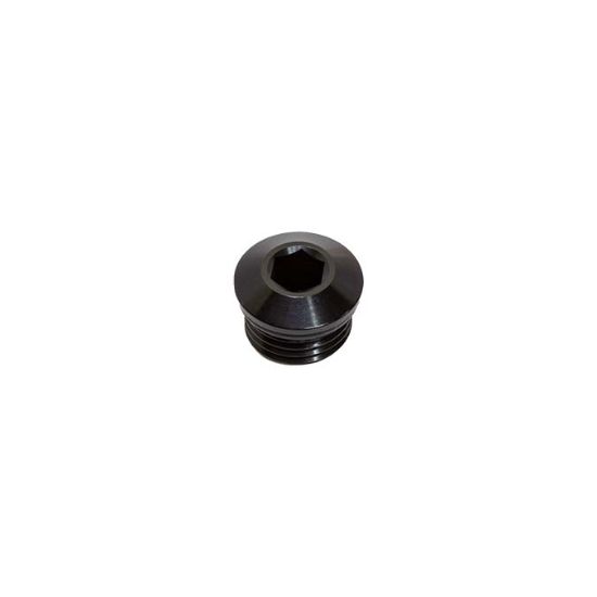 Picture of Snow Performance Pipe Plug - SNF-60006