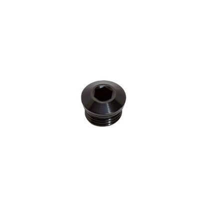Picture of Snow Performance Pipe Plug - SNF-60009