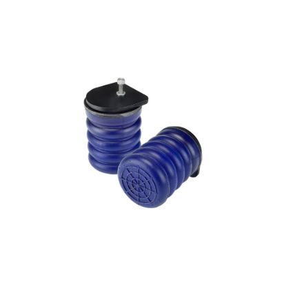 Picture of SuperSprings Air Suspension Helper Spring Kit - SSF-109-40