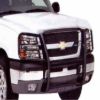 Picture of TrailFX Grille Guard - 81051