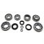Picture of USA Standard Gear Manual Transmission Bearing and Seal Overhaul Kit - ZMBK483A