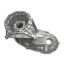 Picture of USA Standard Gear Transfer Case Housing - ZTMP1628-CASE