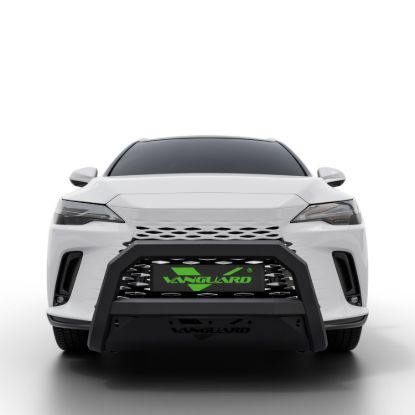 Picture of VANGUARD Bumper Guard - VGUBG-1889-2462BK