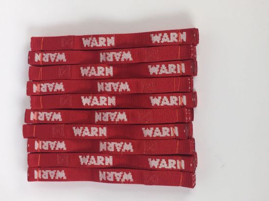 Picture of Warn Winch Strap - 101554